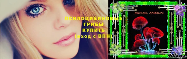 гашиш Богородицк