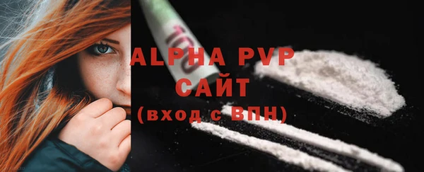 прущие крисы Белокуриха