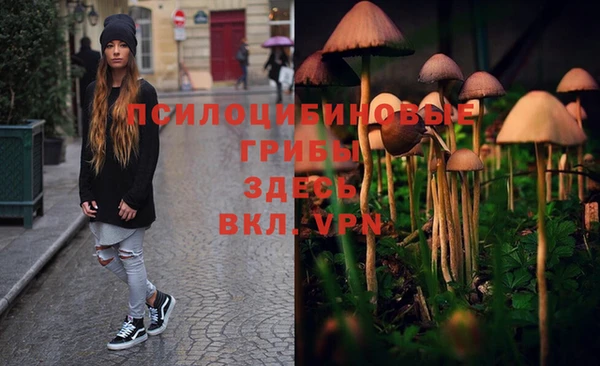 винт Болхов